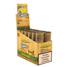 CYCLONES HEMP - CANE